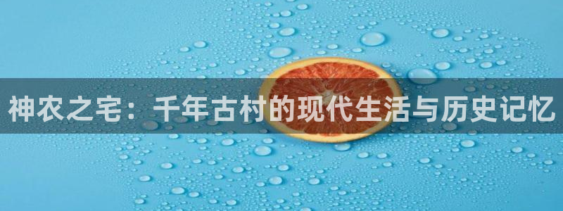 琳琅科技娱乐机器人插件