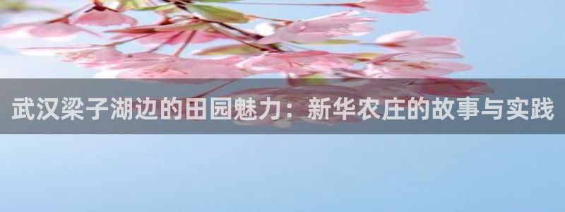 琳琅娱乐社区600