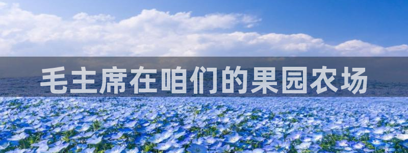 琳琅娱乐注册登录官网