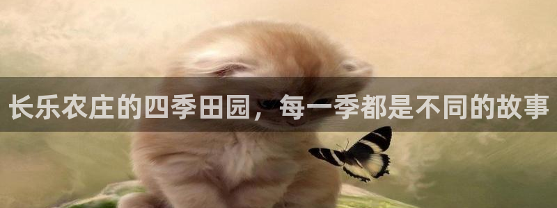 琳琅娱乐代理怎么做