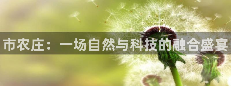 琳琅科技娱乐机器人下载