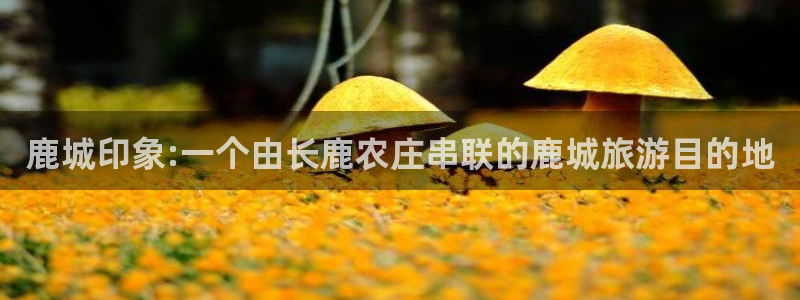 琳琅娱乐天美2