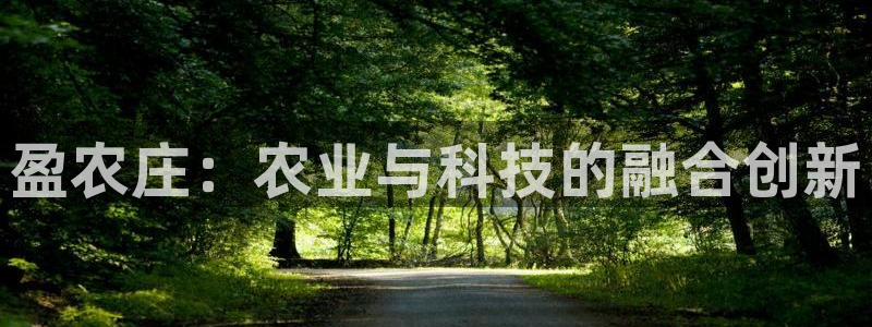 琳琅娱乐代理21192