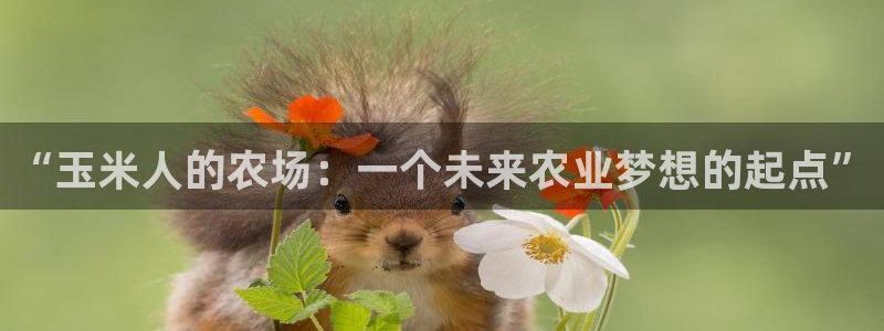 琳琅国际娱乐会所地址