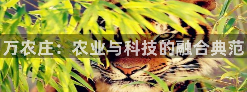 琳琅娱乐前7O777