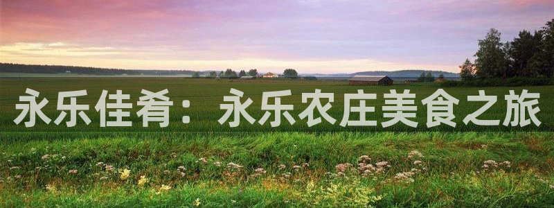 琳琅娱乐600