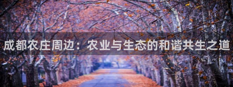 琳琅娱乐平台登陆