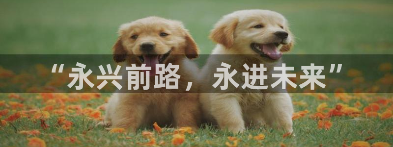 孝感琳琅娱乐会所