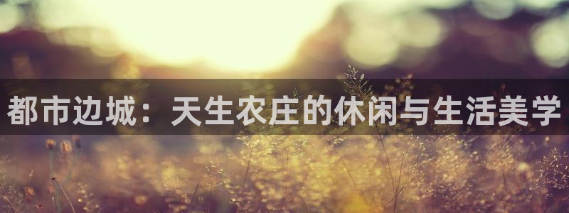 琳琅娱乐工作室地址查询