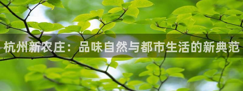 琳琅娱乐工作室怎么样啊