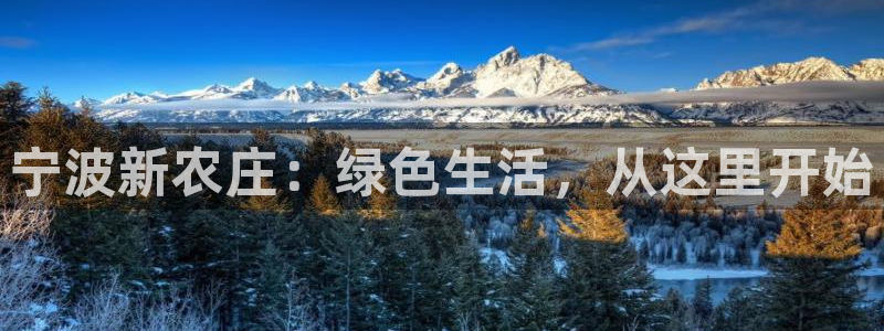 琳琅娱乐八卦