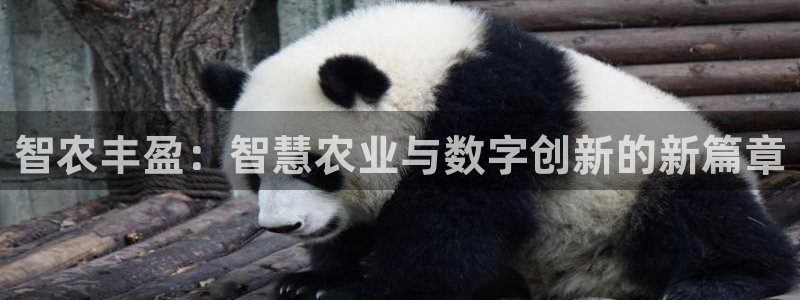 琳琅娱乐机器人