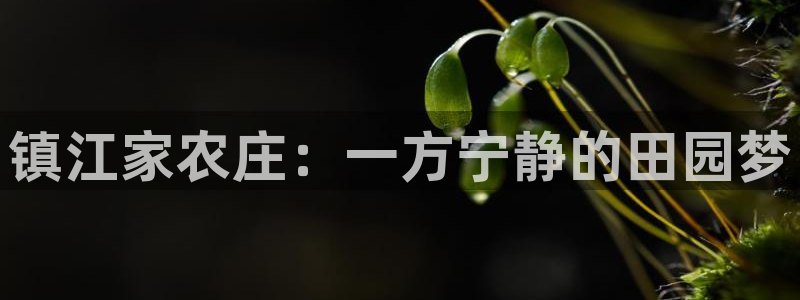 琳琅科技qq娱乐机器人