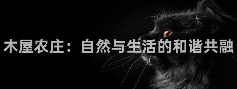 琳琅作者娱乐圈女主