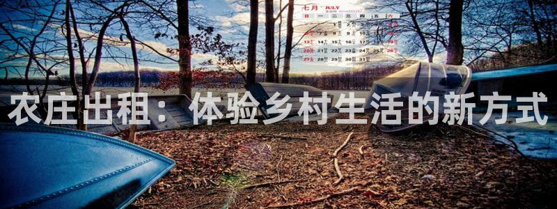 琳琅娱乐工作室