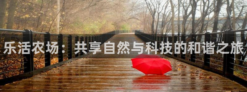 琳琅娱乐机器人