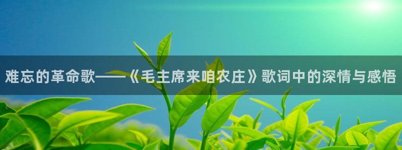 杭州琳琅互动娱乐