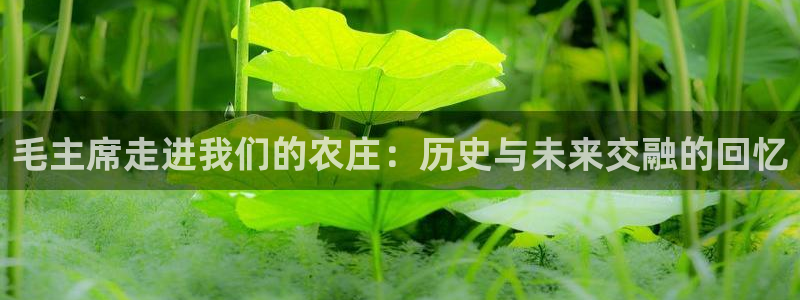 琳琅娱乐代理怎么做