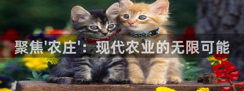 琳琅娱乐招商