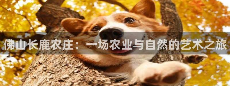 琳琅娱乐八卦