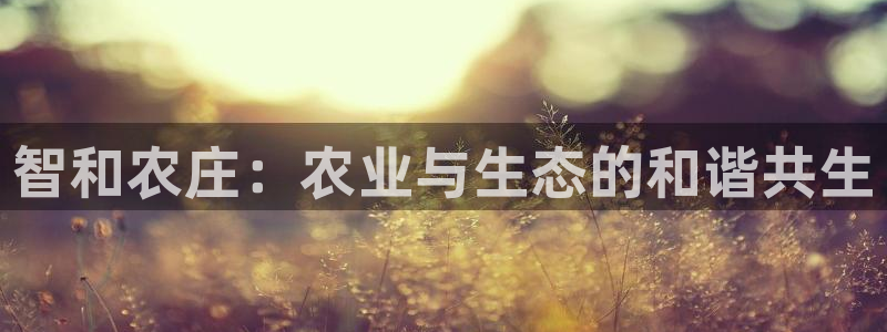 琳琅社区娱乐视频