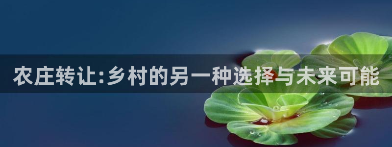 琳琅娱乐官网