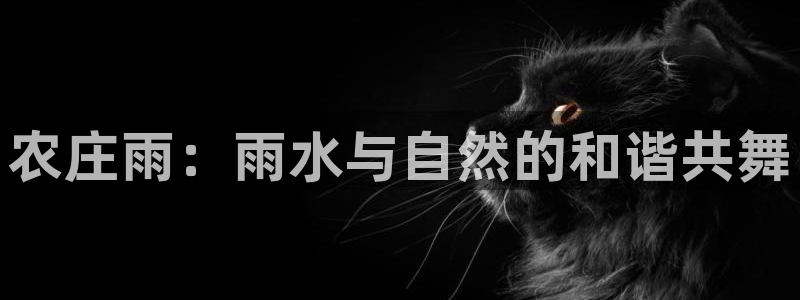 琳琅娱乐黑钱