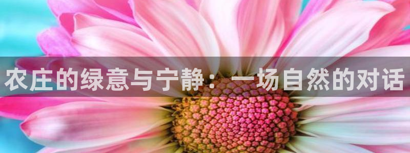 琳琅娱乐领先33300
