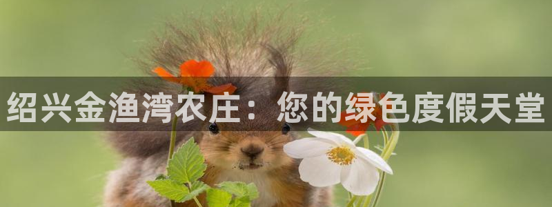 琳琅娱乐平台怎么样知乎