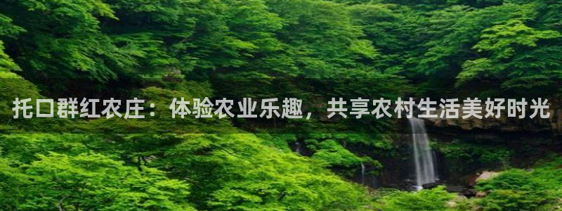 琳琅娱乐a
