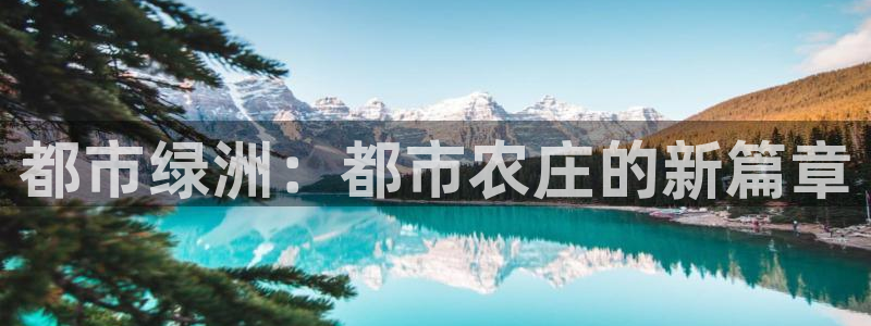 琳琅娱乐代理人是谁