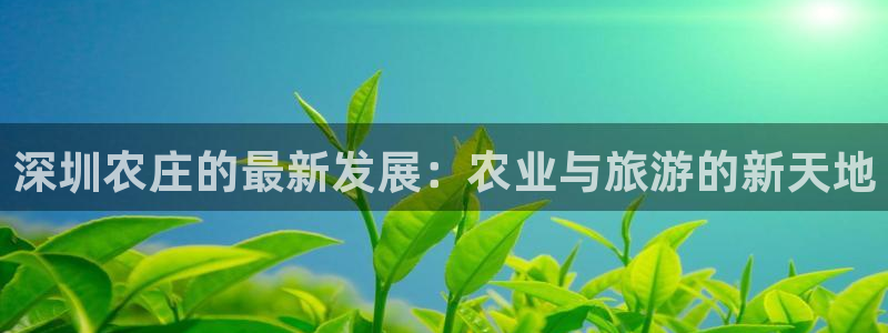 琳琅科技娱乐机器