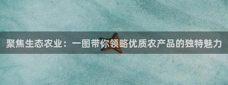 琳琅科技娱乐机器人