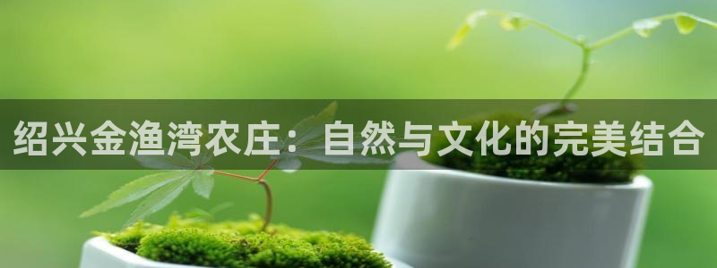 琳琅娱乐工作室招聘信息