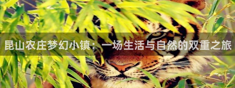 琳琅娱乐温柔乡网站