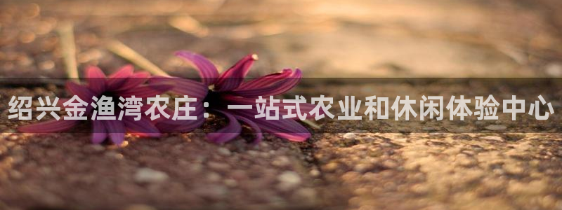 琳琅娱乐是什么