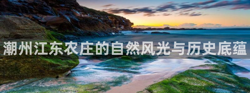 娱乐从琳琅榜开始的小说