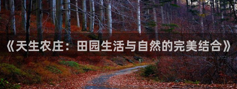 琳琅娱乐代理