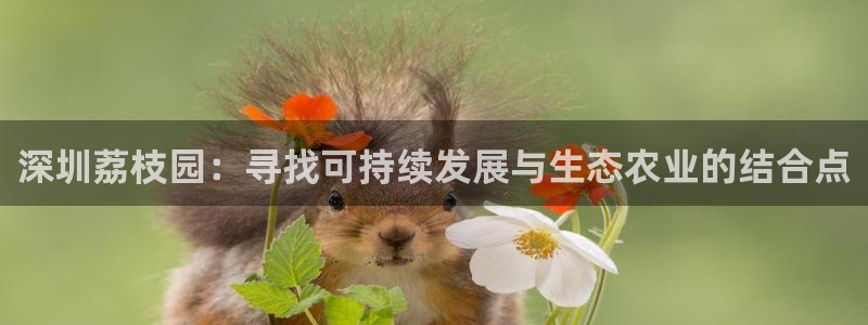 琳琅娱乐m