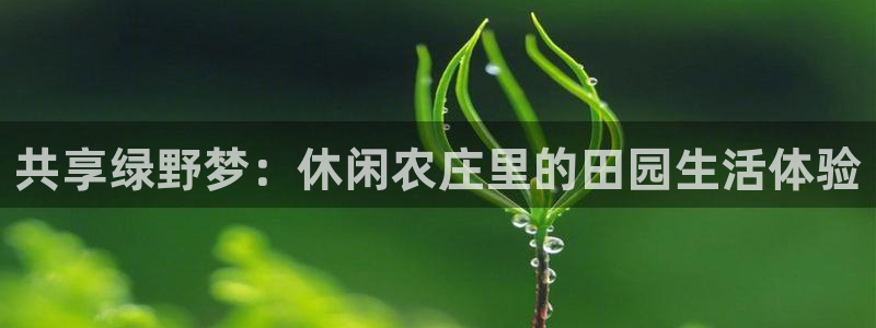 琳琅娱乐代理怎么样