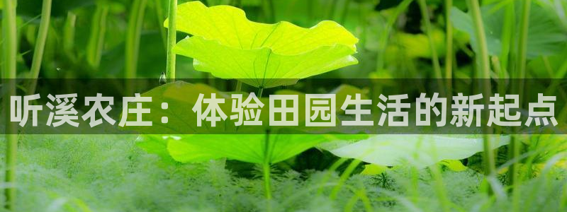 琳琅娱乐m