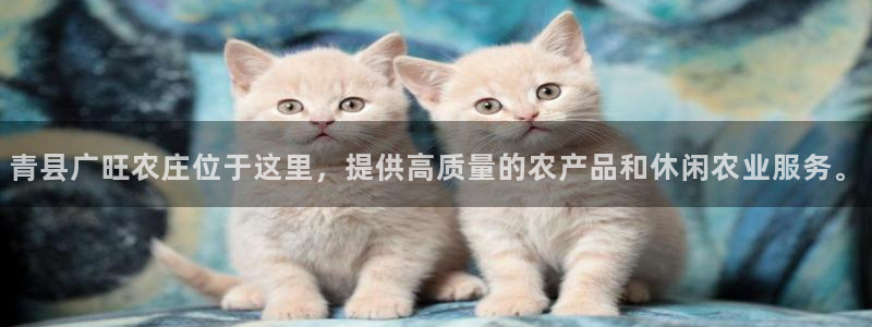 琳琅娱乐代理
