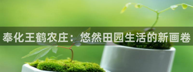琳琅娱乐主管