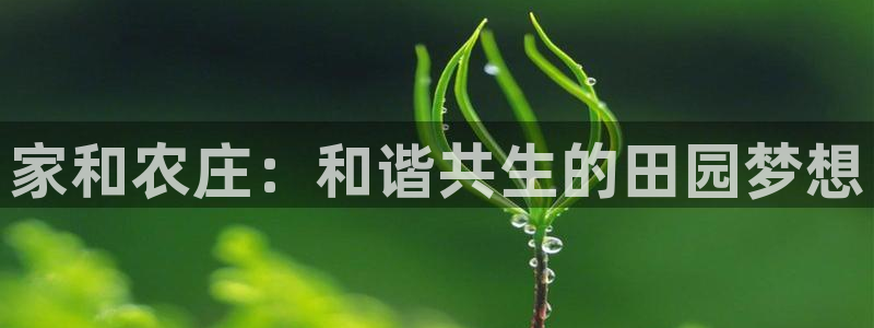 qq飞车琳琅娱乐组