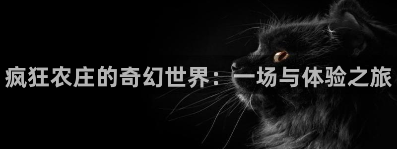 琳琅QQ娱乐机器人