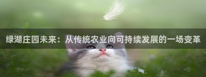 琳琅娱乐放心33300