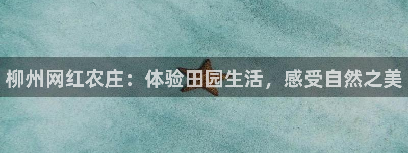 琳琅作者娱乐圈女主