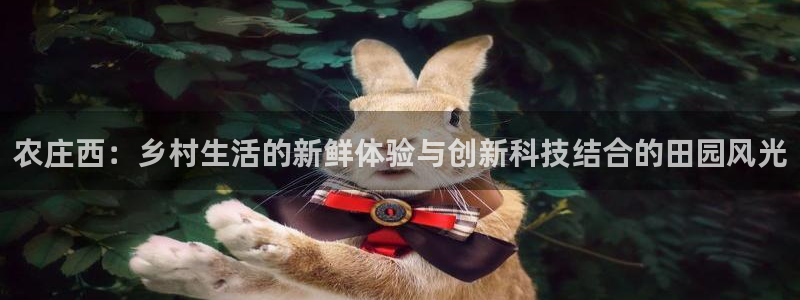 琳琅娱乐温柔乡网站