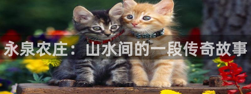 琳琅娱乐代理人是谁