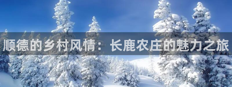 梧州琳琅娱乐城